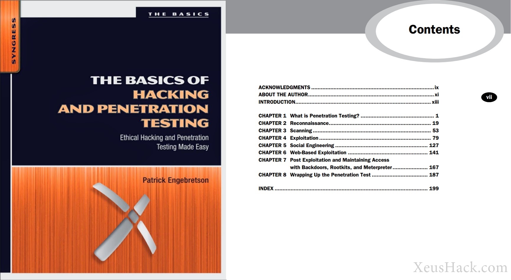 The Basics of Hacking and Penetration Testing